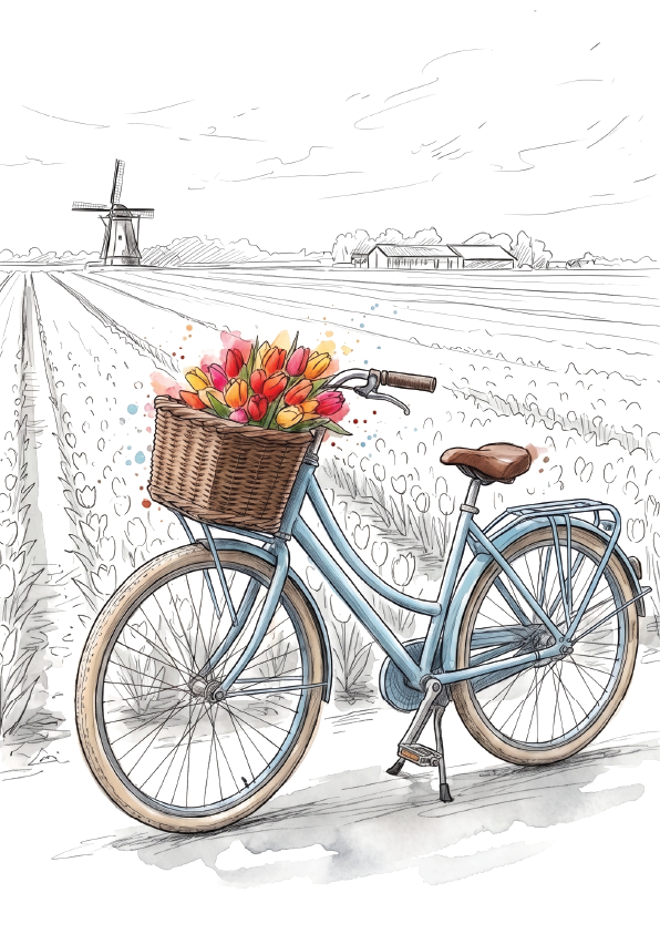 A watercolour-style illustration of a light blue bicycle with a wicker basket filled with colourful tulips, parked in a field. The background is mostly white with faint line drawings of a windmill, house, and trees.