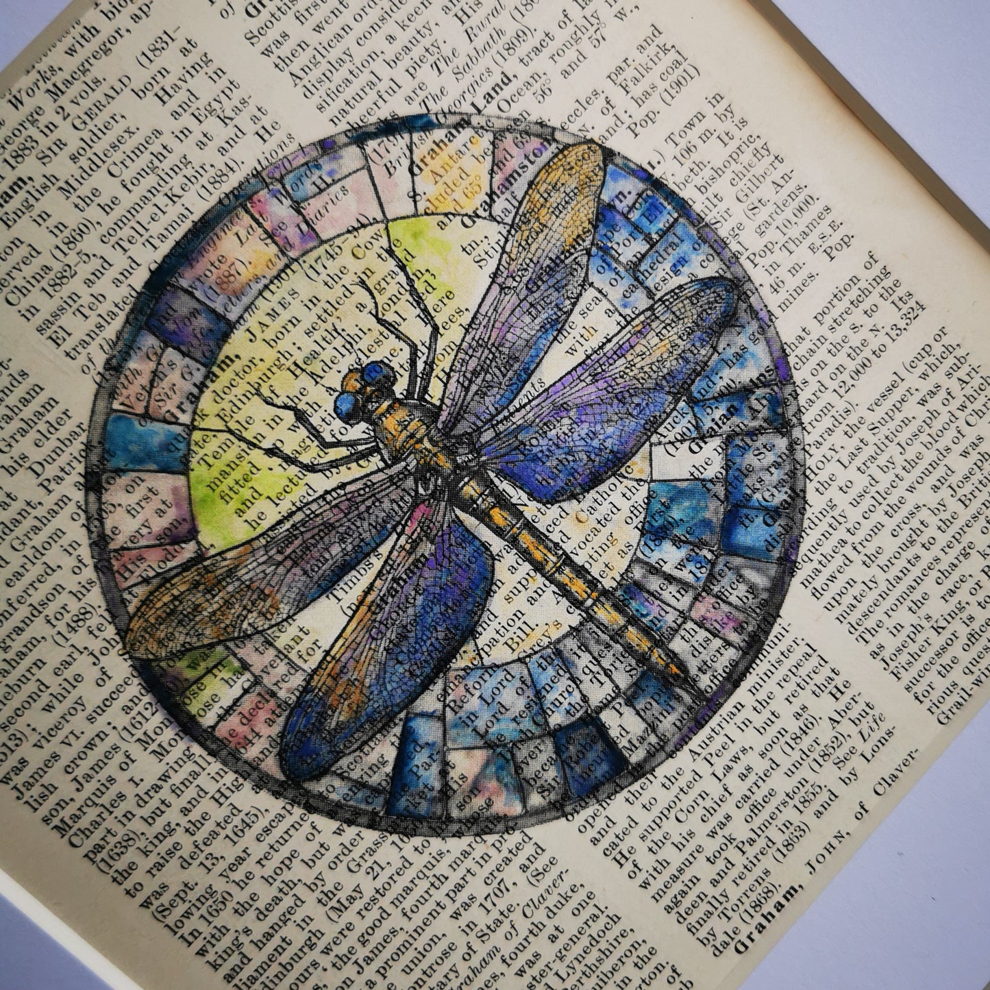 Signed original vintage encyclopaedia page with Dragonfly watercolour and ink illustration
