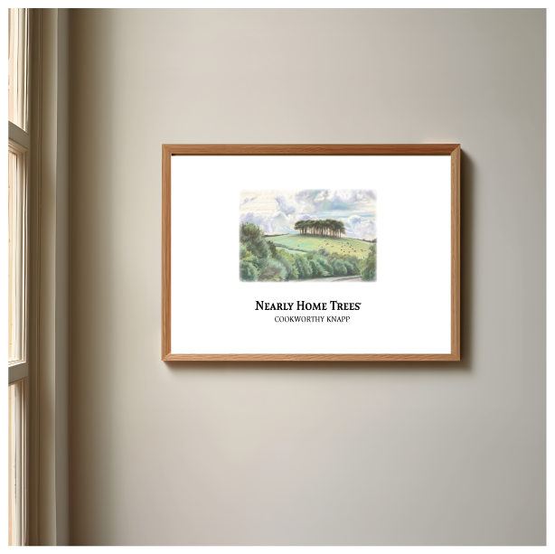 Postcards Home: Cookworthy Knapp · Art Postcard