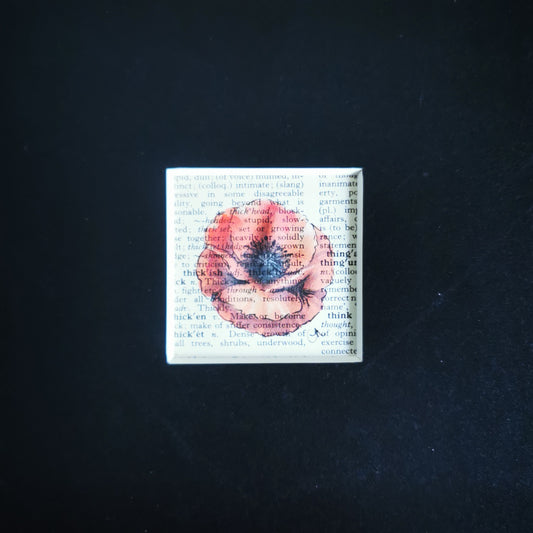 Square mount card with a cut out with a red poppy flower design on a black text dictionary background