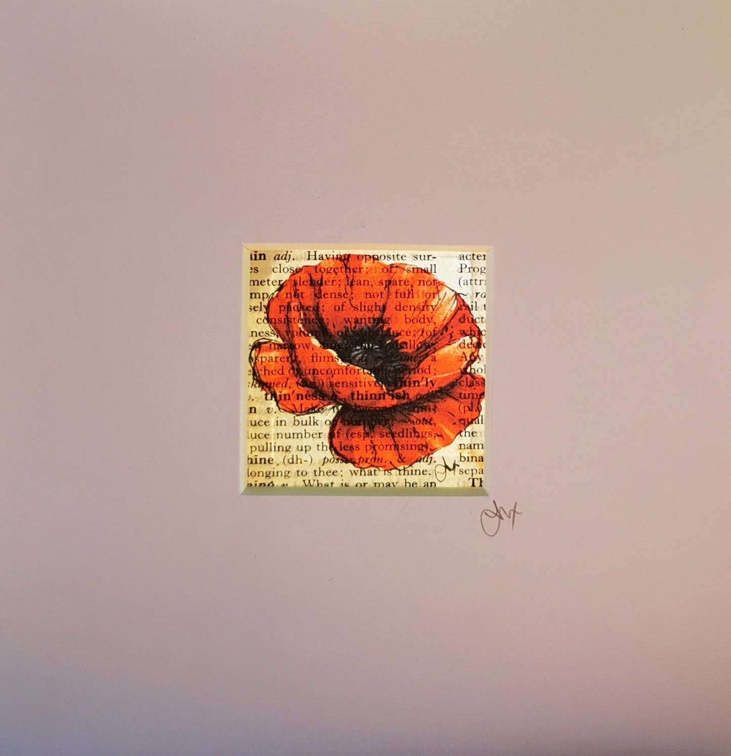 Signed original book page with poppy watercolour and ink illustration