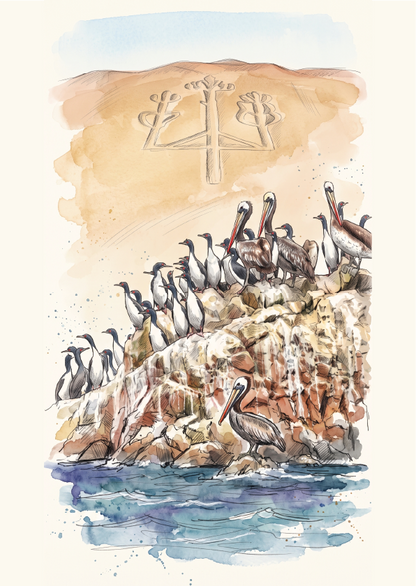 Watercolour-style illustration of a rocky coastal cliff at the Ballestas Islands with pelicans perched on the rocks and water below, plus a tan sky area with a white abstract symbol near the top.