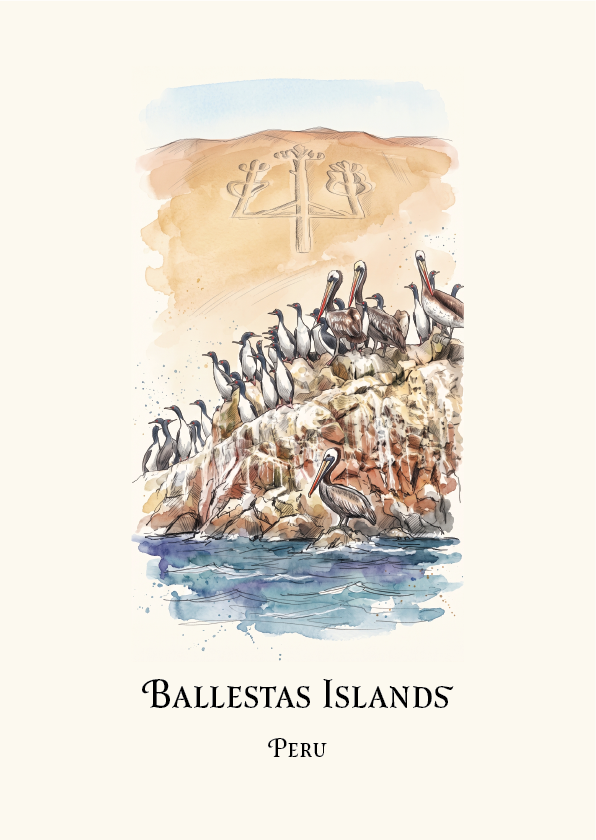 A watercolour-style travel art print of the Ballestas Islands in Peru, featuring a detailed illustration of brown pelicans on rocky cliffs with a geode formation in the background, set against a cream-coloured canvas with black text at the bottom.