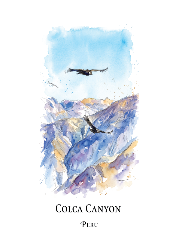 A vertical watercolour-style art print featuring a mountain canyon scene with two birds flying above purple, blue, and gold-toned peaks. The print is centered on a white background with the text 'COLCA CANYON' and 'PERU' below the artwork.