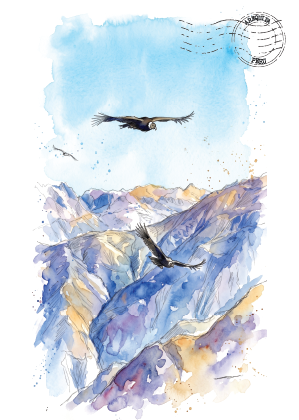 Watercolour art print featuring two Condors flying over blue and purple mountains of Colca Canyon with a light blue sky and a circular postmark illustration in the upper right.