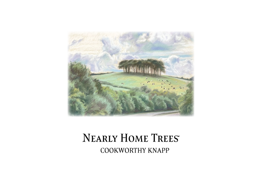 Watercolour and ink illustration of the Nearly Home Trees, a copse of beech trees on a hill at Cookworthy Knapp near Lifton
