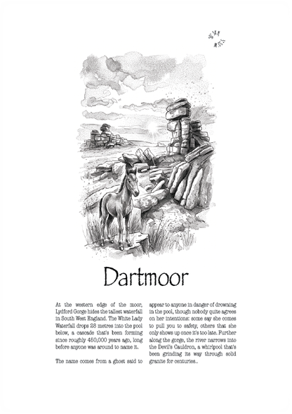 A vintage-style black and white illustrated poster or print titled 'Dartmoor' on a white background, featuring a  landscape with a Dartmoor pony  in the foreground and rocky moorland in the distance.