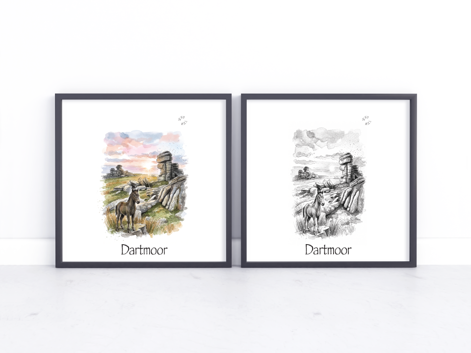 Two framed art prints labeled 'Dartmoor' displayed side by side on a white surface against a white wall. The left print is a colourful watercolour-style scene with a horse and rock formations under a pink sky, and the right print is a black-and-white sketch of the same scene.