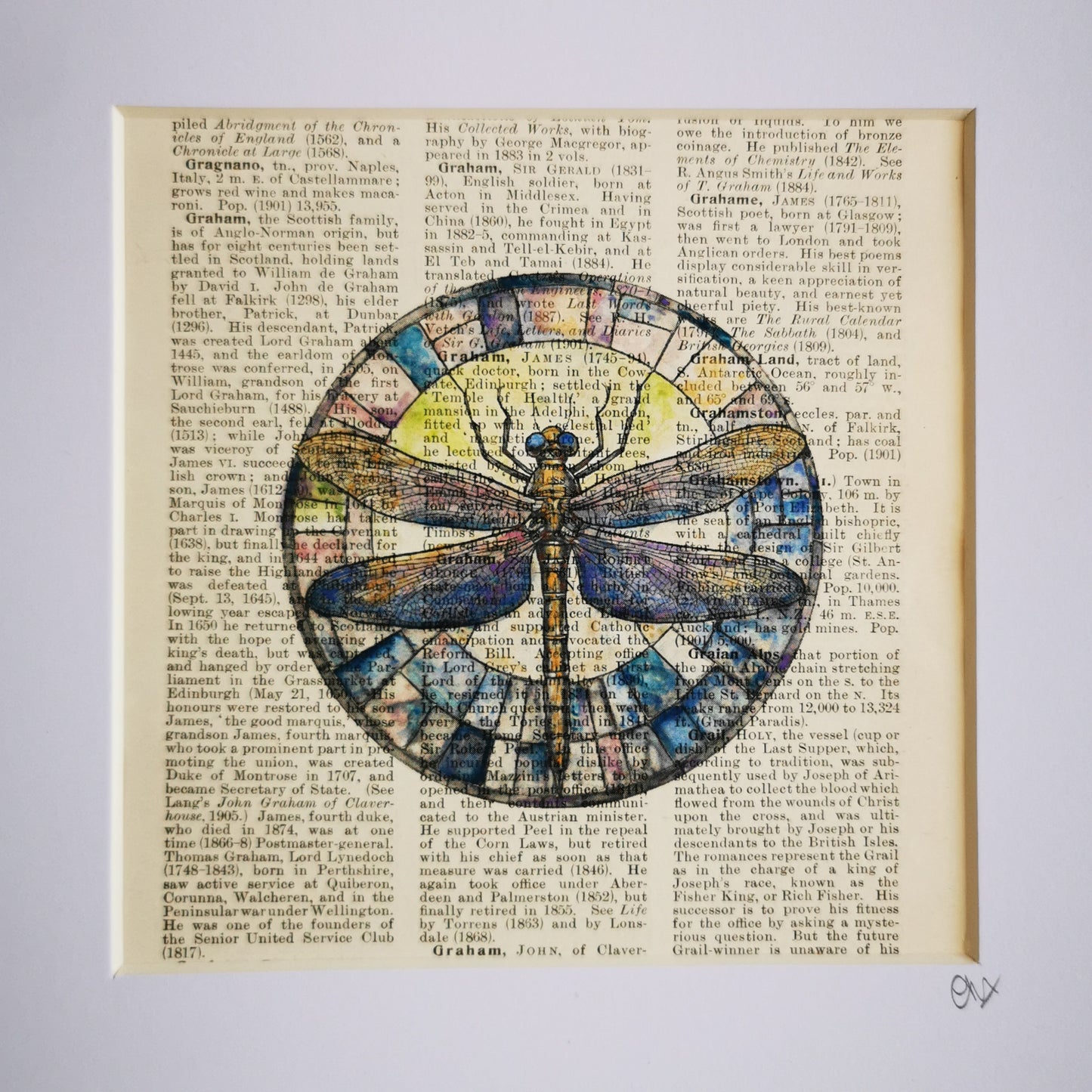 A watercolour and ink illustration of a dragonfly, crafted on a century-old encyclopaedia page, with visible text and aged patina.
