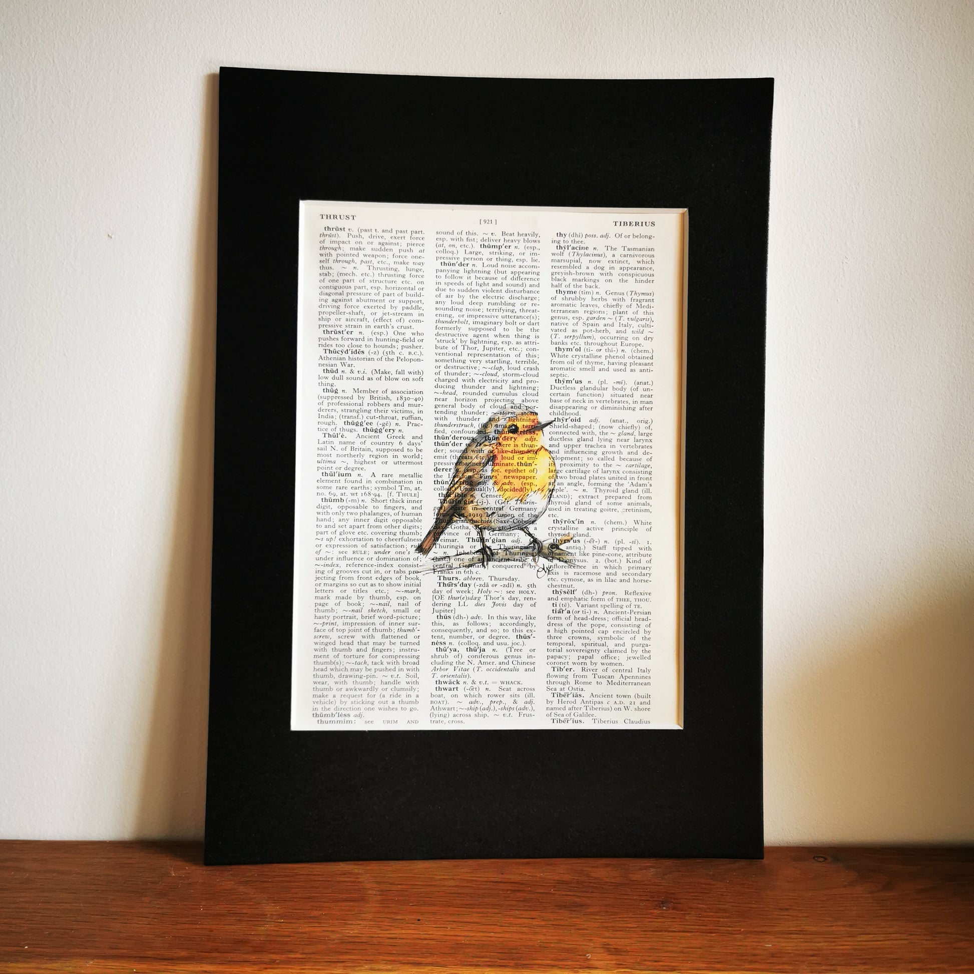 Black framed artwork of a Robin on a vintage book page. 
