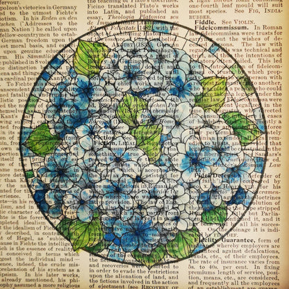 Signed original book page with watercolour and ink illustration - Blue Hydrangea Flowers