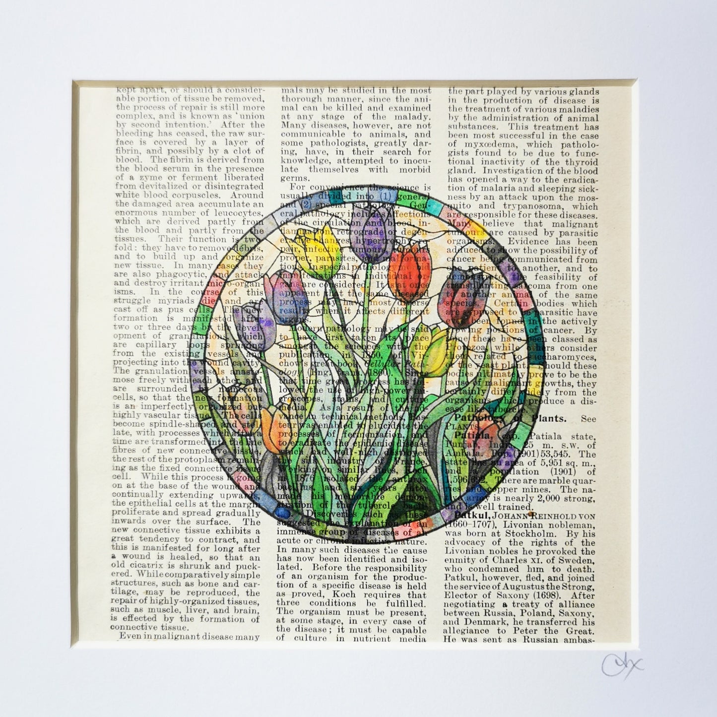 A watercolor and ink illustration of a bunch of tulips on a vintage dictionary page, with a stained glass window appearance.