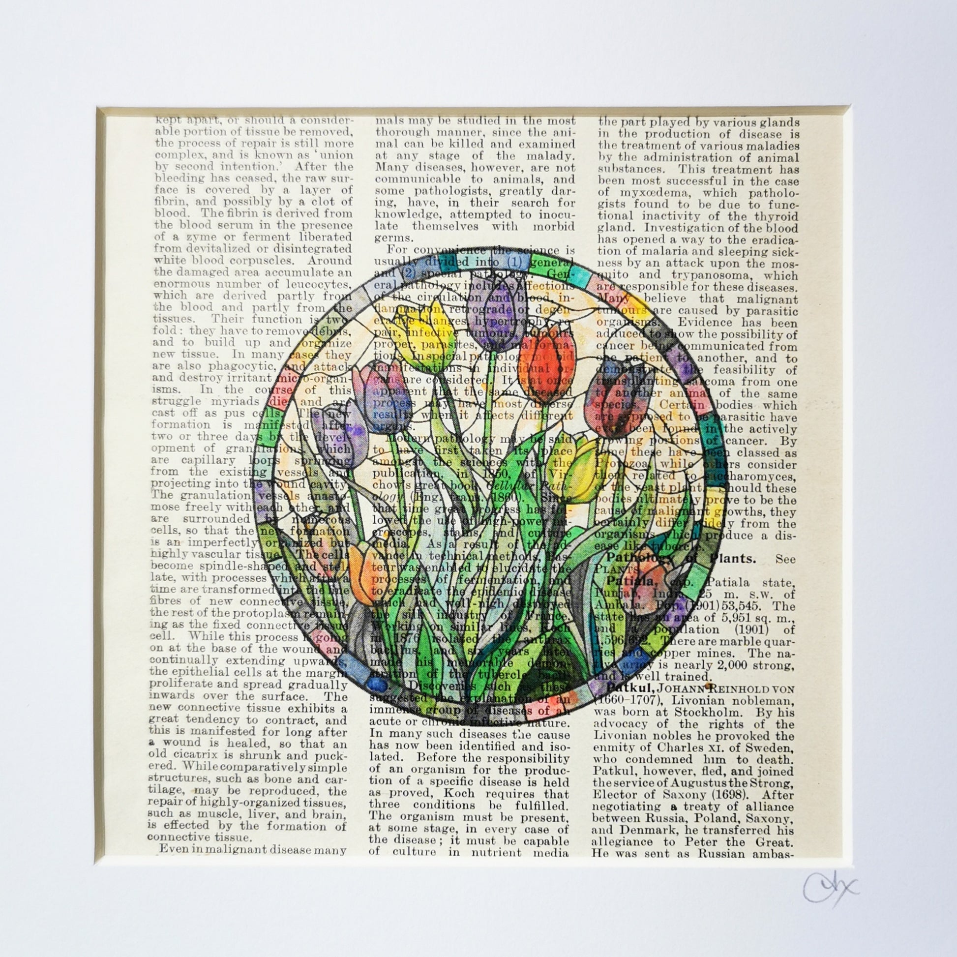 A watercolor and ink illustration of a bunch of tulips on a vintage dictionary page, with a stained glass window appearance.