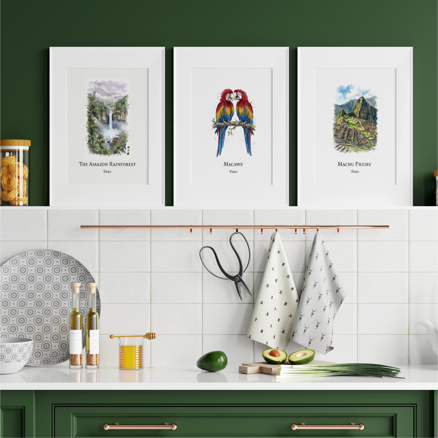 Three framed art prints featuring watercolour illustrations of The Amazon Rainforest, Macaws, and Machu Picchu, displayed on a dark green kitchen wall above a white countertop with kitchen items.