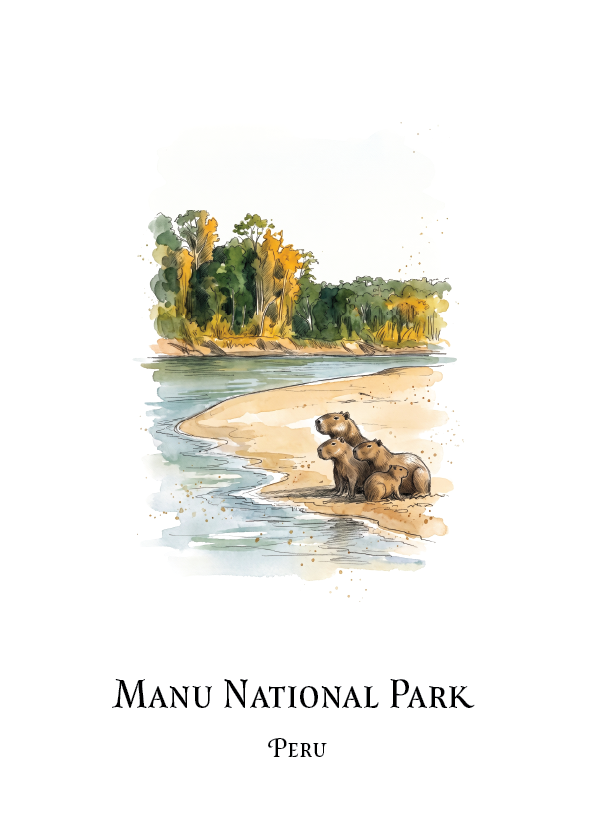 A minimalist art print featuring a watercolour illustration of capybara animals on a sandy beach next to a river, with a forest in the background. Below the illustration, the text reads 'MANU NATIONAL PARK' and 'PERU'.