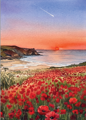 watercolour illustration of a field of poppies overlooking a beach with a sunset and shooting star