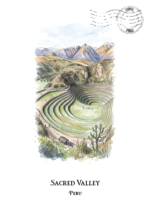A watercolour-style travel art print of the Sacred Valley terraces in Peru, featuring a central illustration of the green terraces with mountains in the background, set on a white page with a circular stamp graphic at the top and the text 'SACRED VALLEY PERU' below.