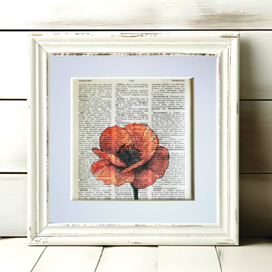 Signed original book page with poppy watercolour and ink illustration