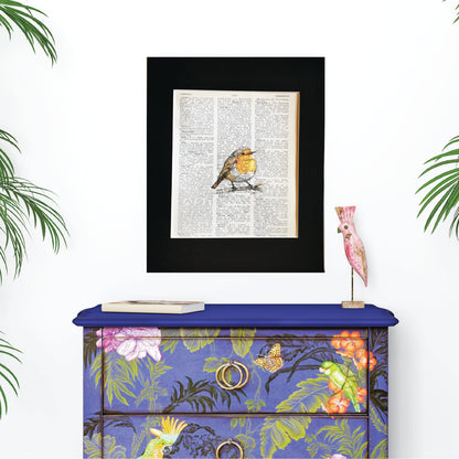 Signed original book page of a Robin watercolour and ink illustration